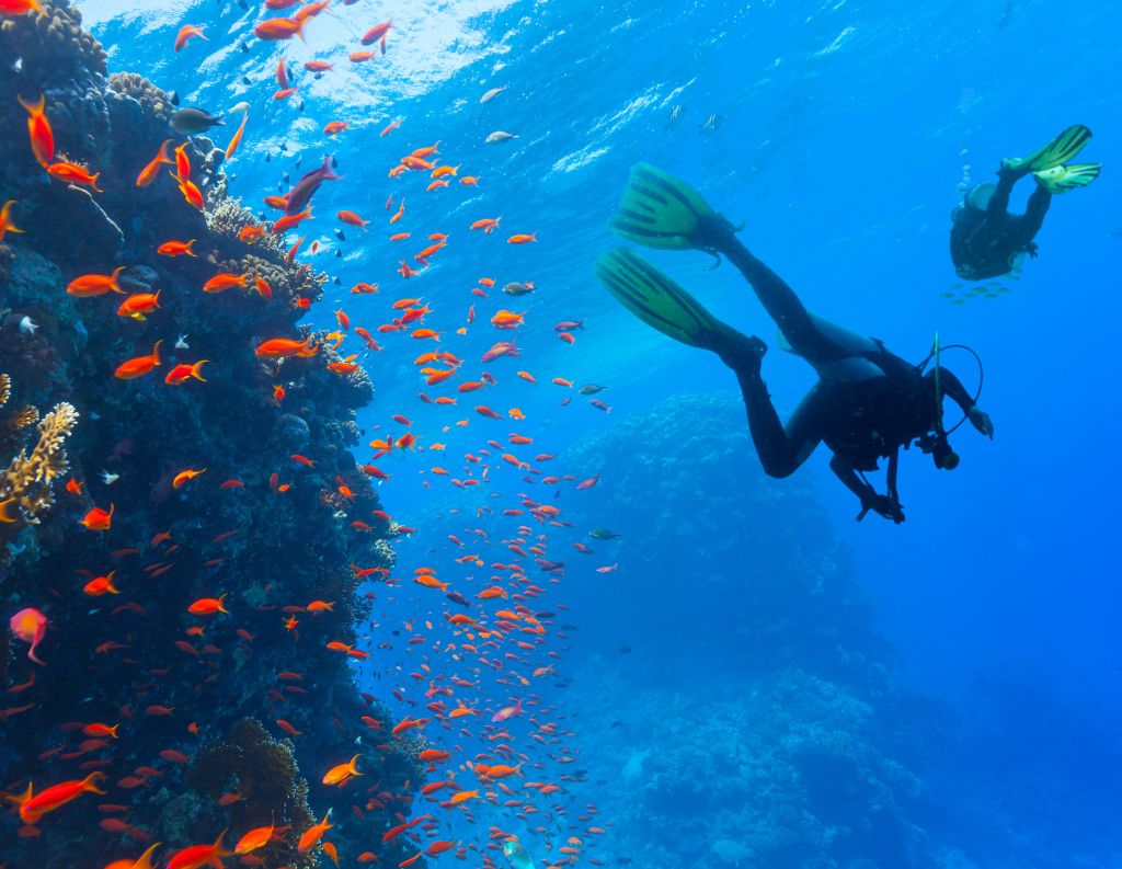 Scubadivingthrillpaget2a