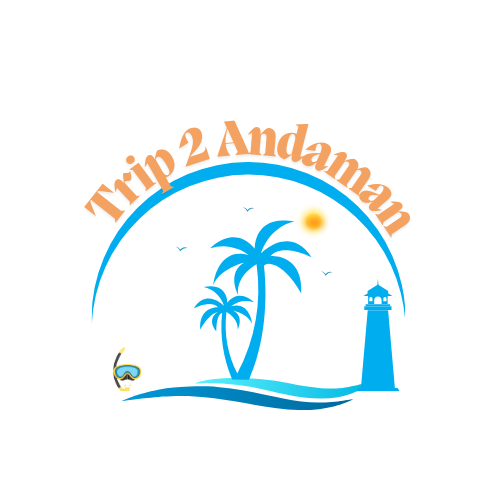 t2an1
