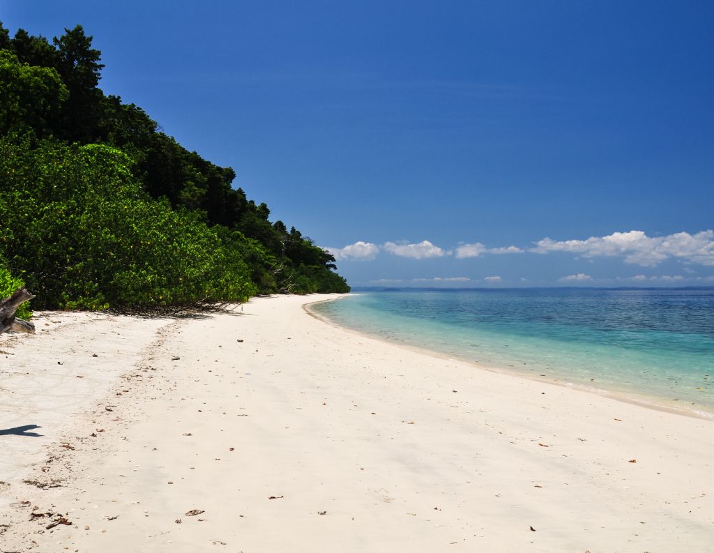 elephantabeacht2a